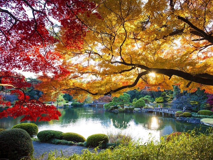 Autumn in Tokyo