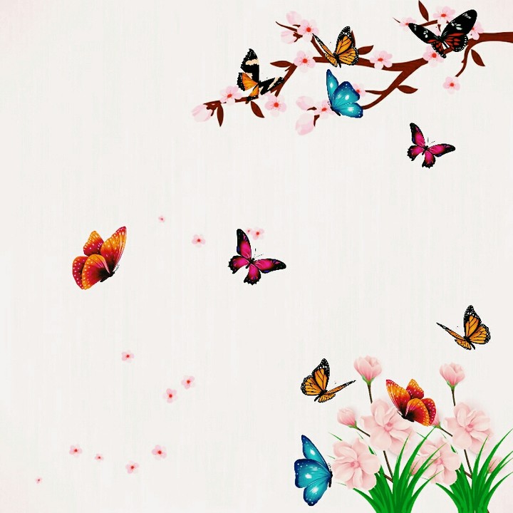 Butterfly & Flower
