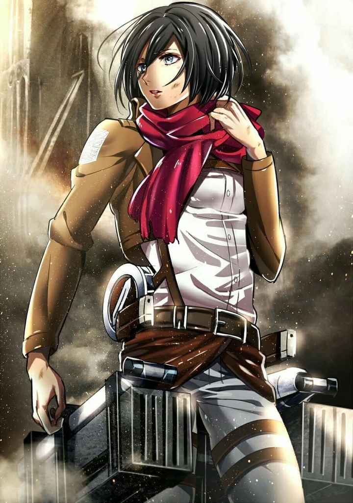 mikasa