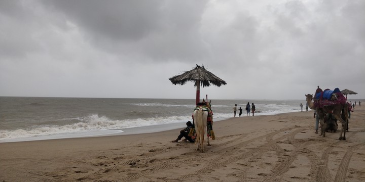 beach diaries
