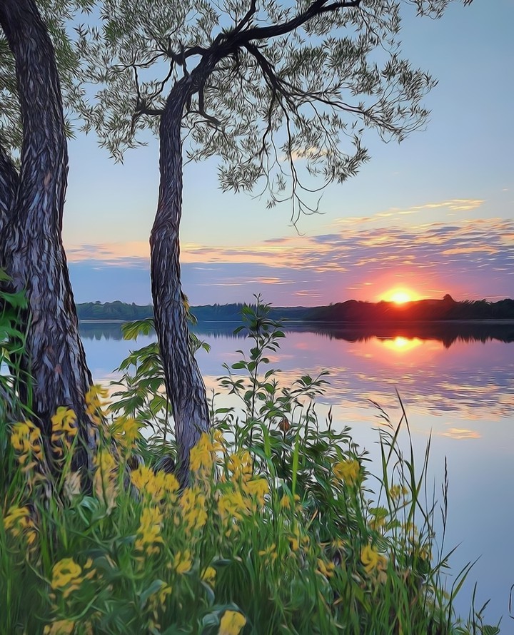 morning in the river...