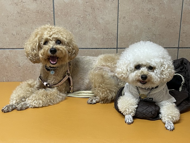 Lucky & Money