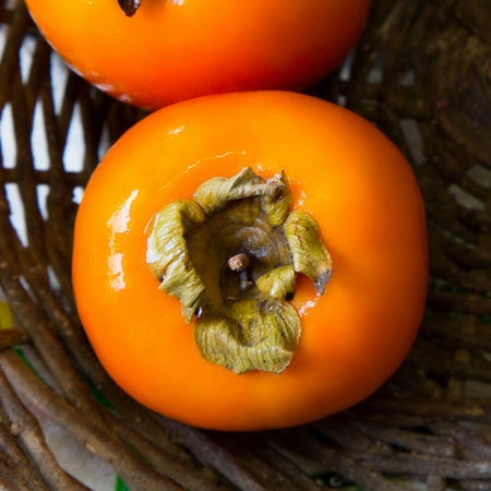 persimmon