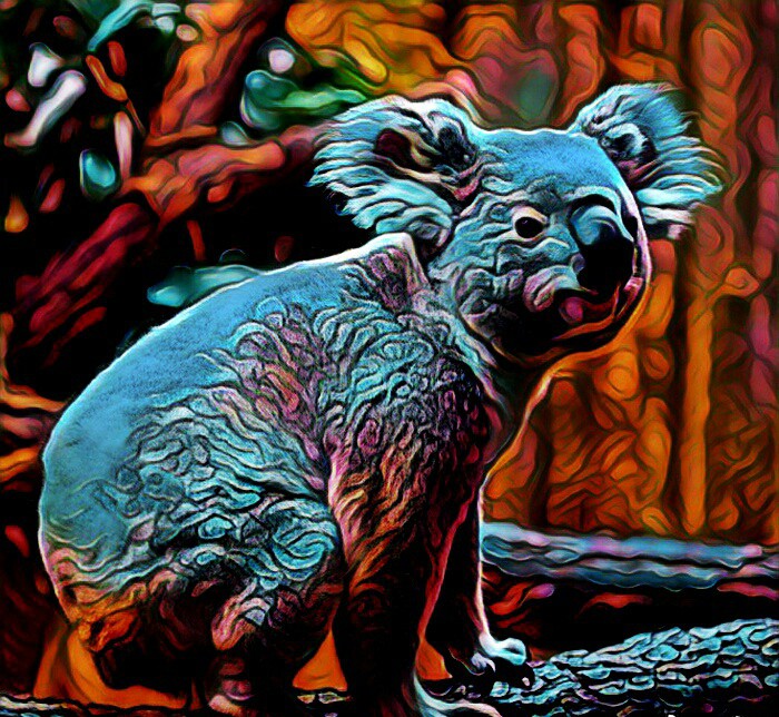 Koala