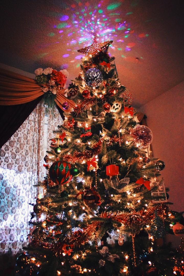 our Christmas tree