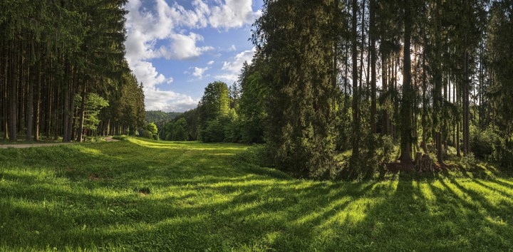 Nature