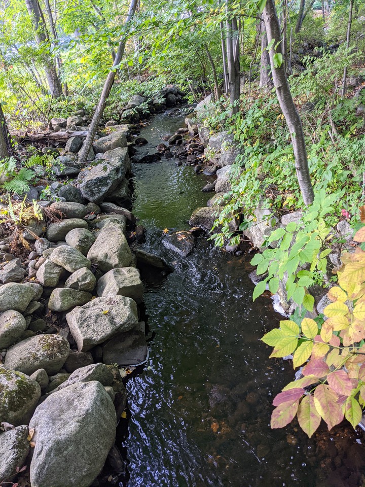 stream