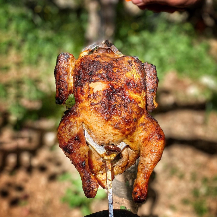 grilled chicken