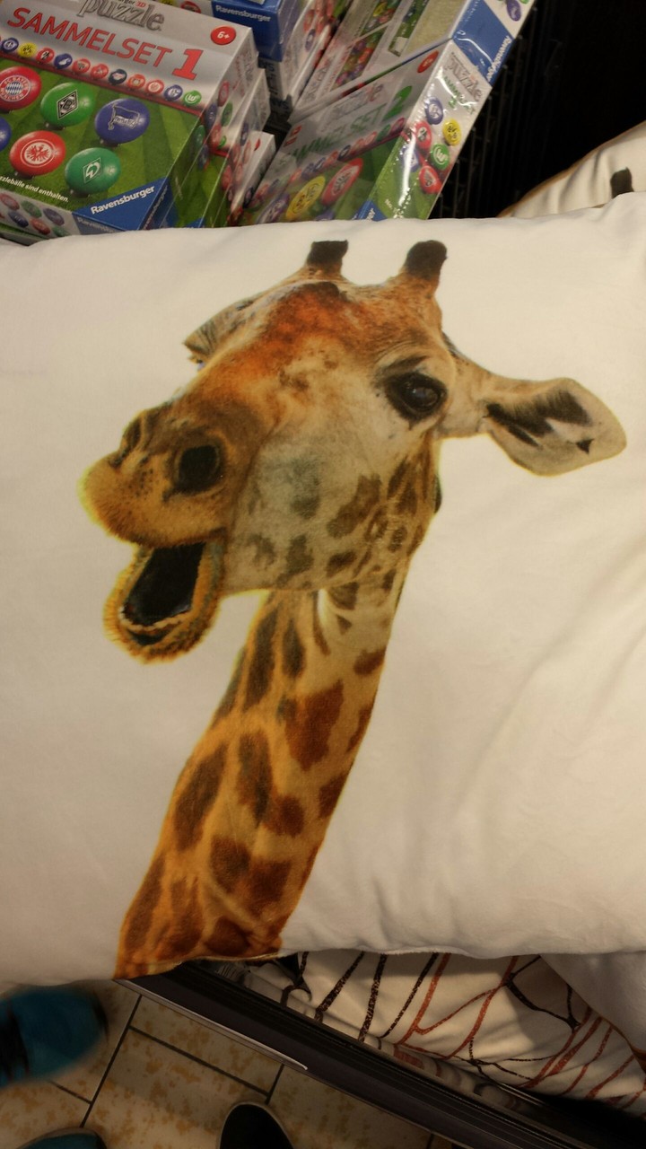 the giraffe