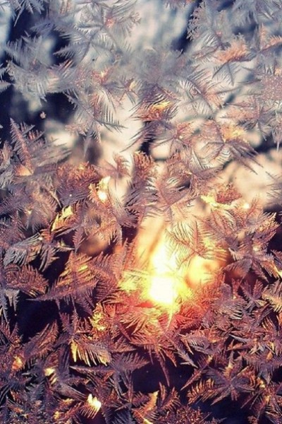 зима ❄