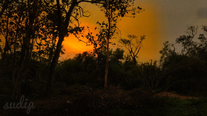sunset