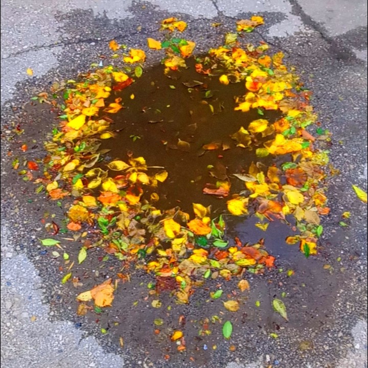 осень