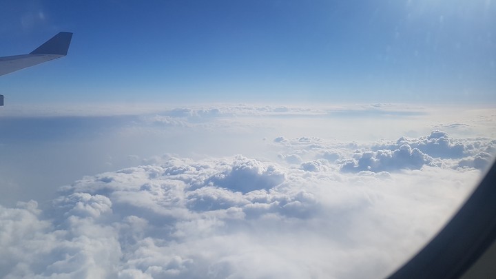 jeju
