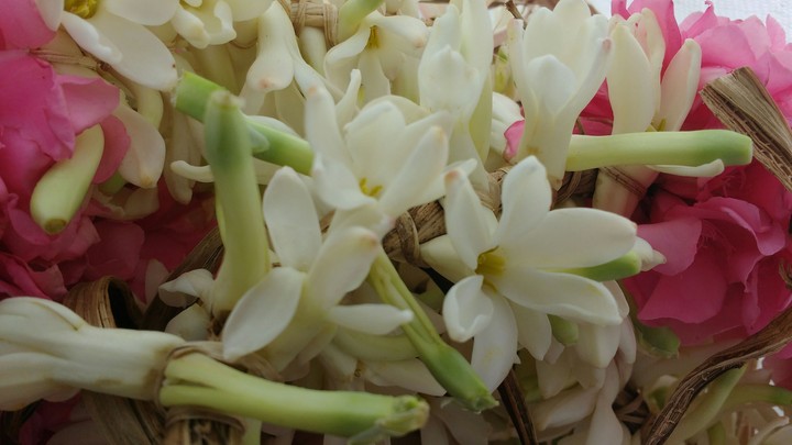 bunch of flower