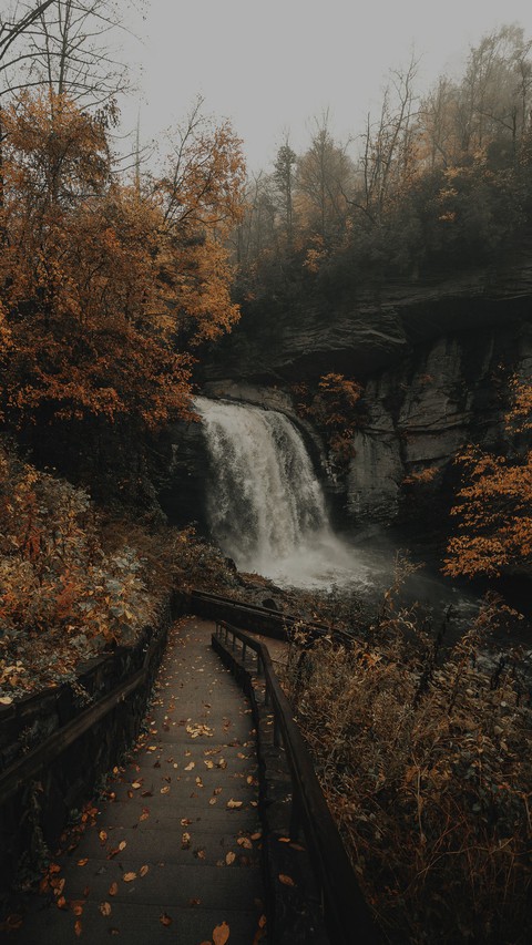 CG1