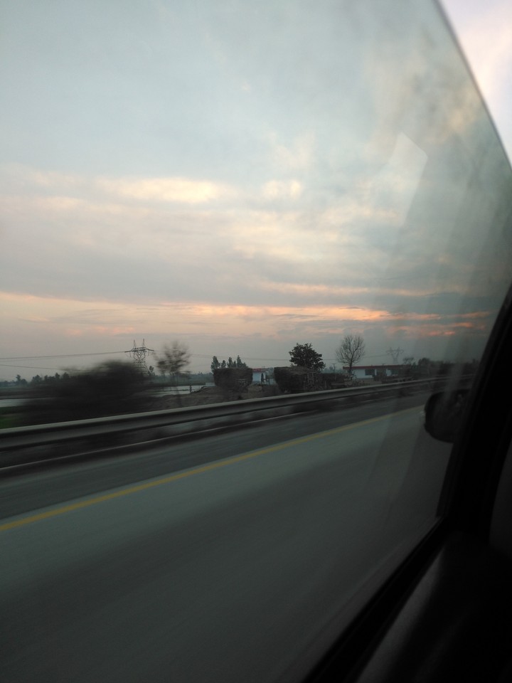 view