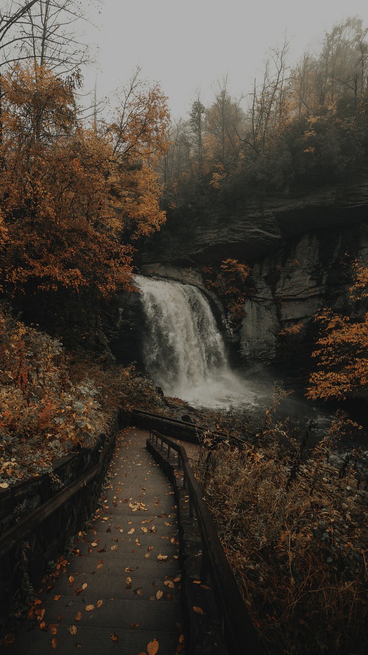CG1