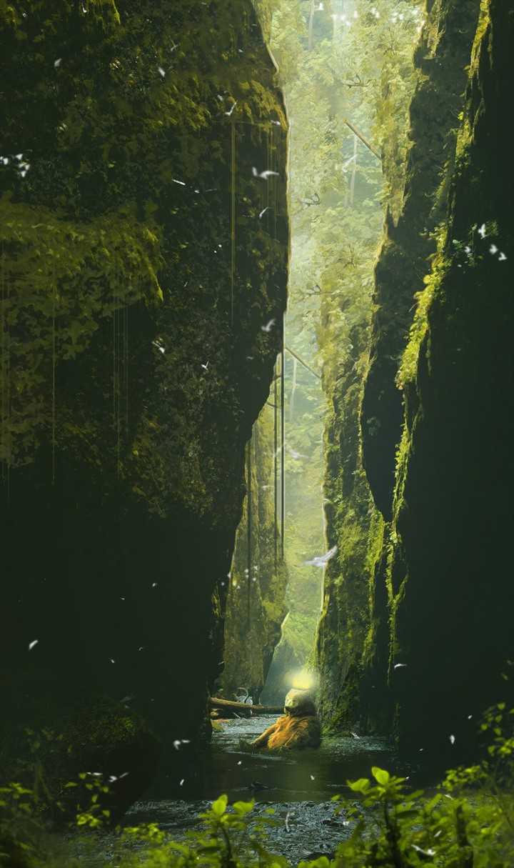 Forest