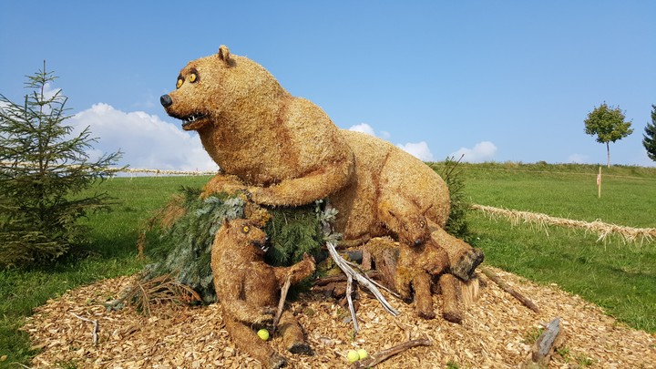 bear