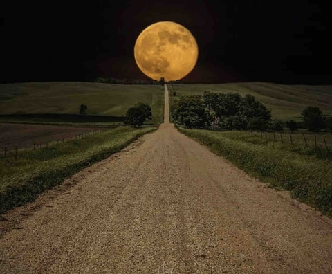 really amazing