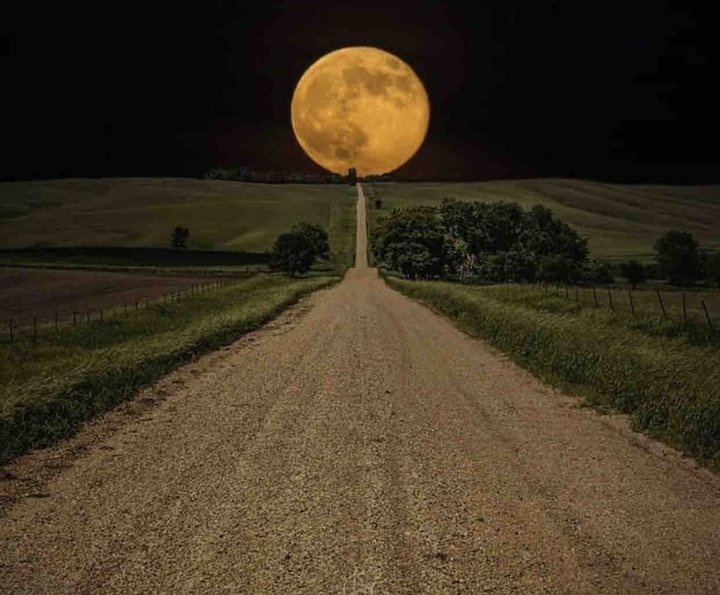 really amazing