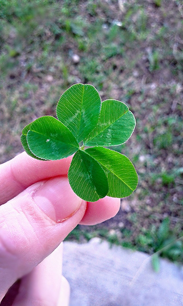 Have a little luck