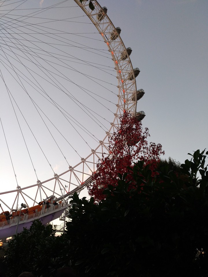 London Eye