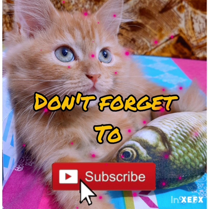 Friends..plz subscribe....