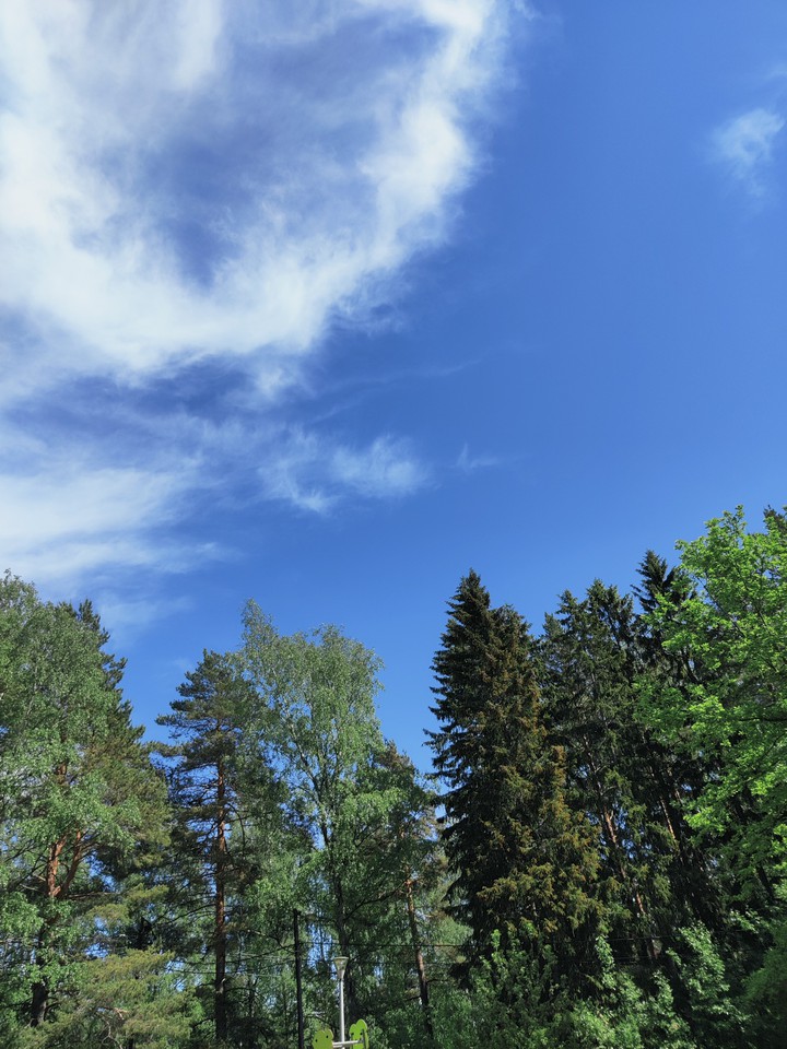 Sky