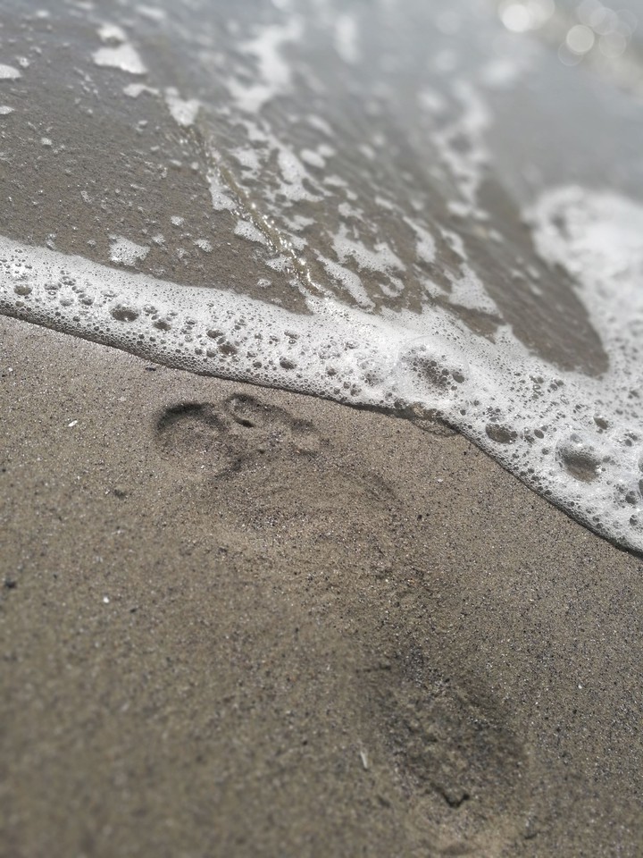 step