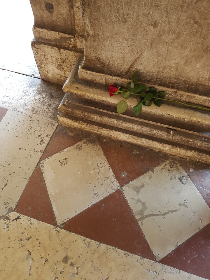 Rosen aus Venedig