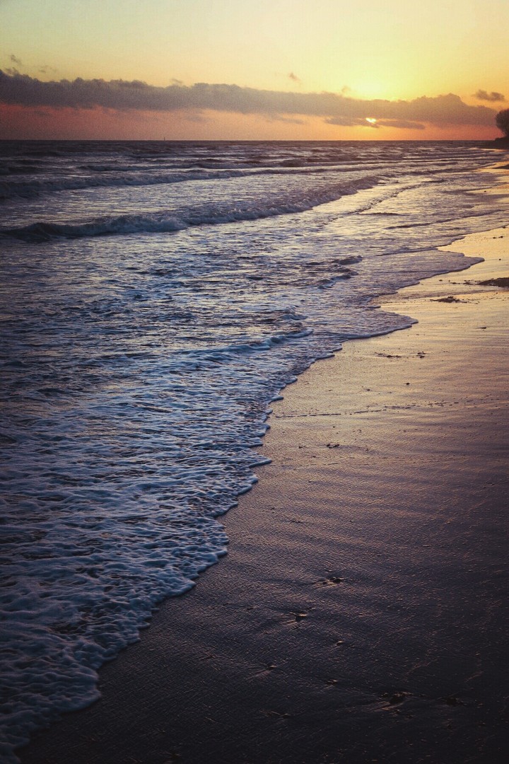 Ocean landscape