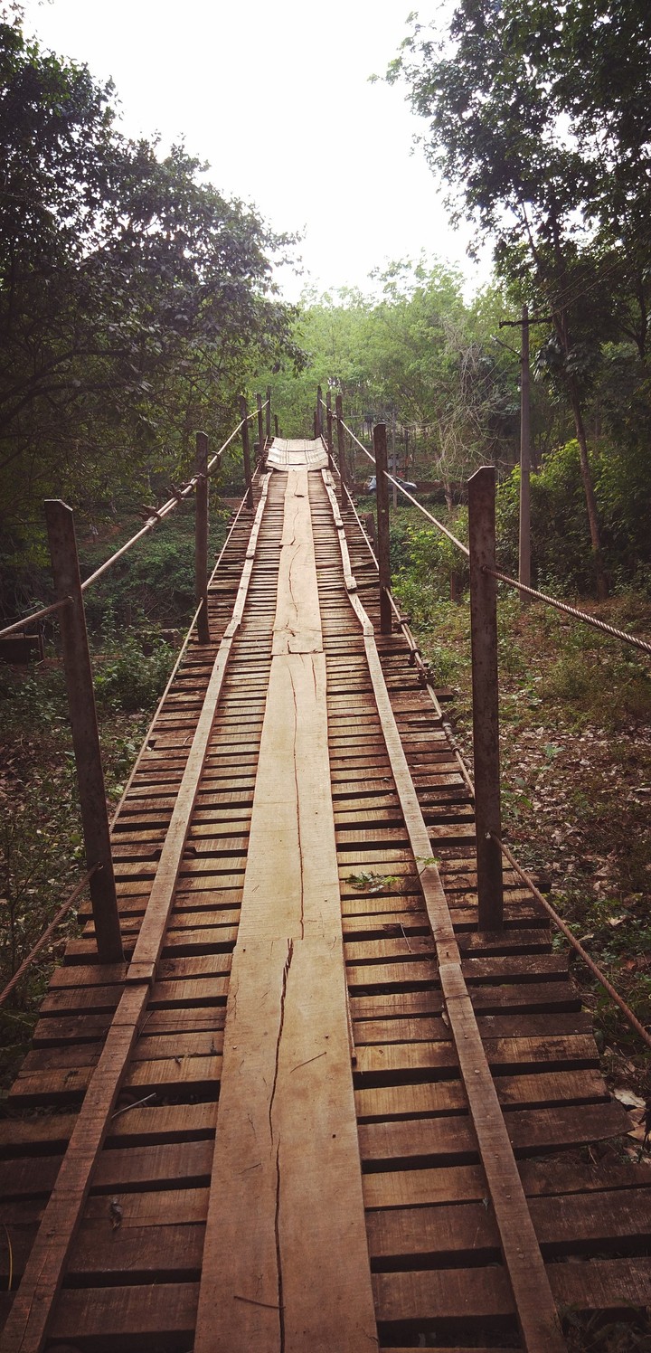 hanging_bridge