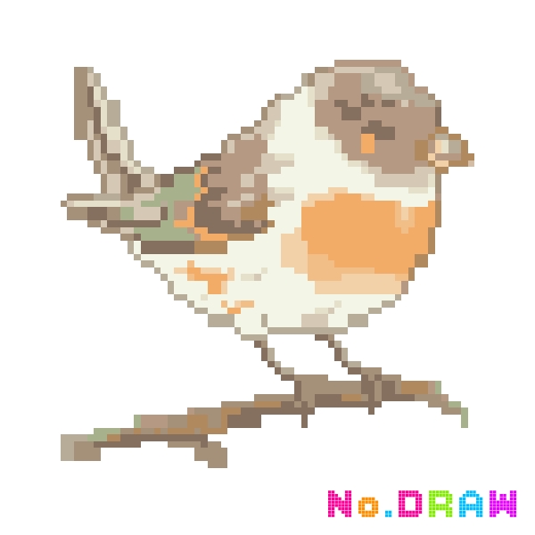 bird