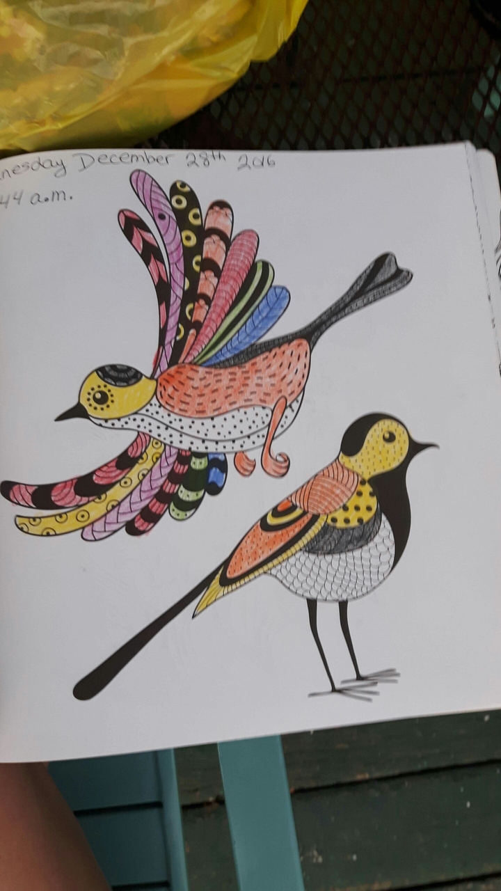 birds