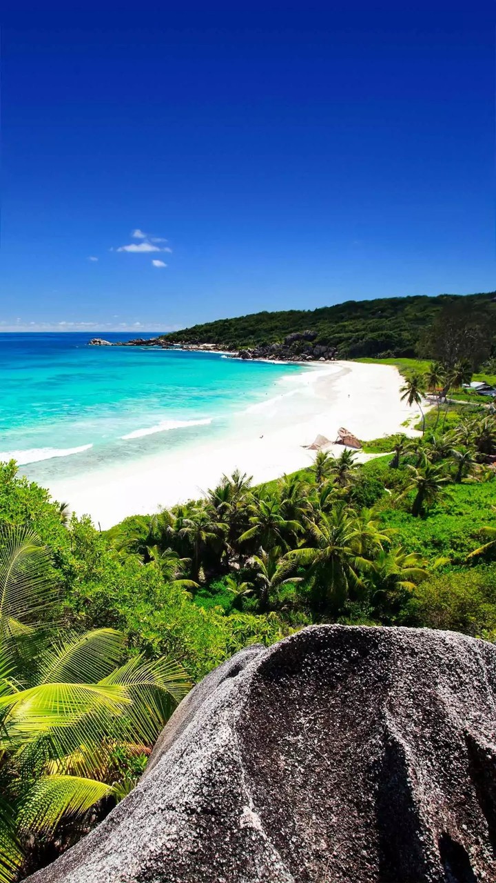Sun , Sand and Paradise