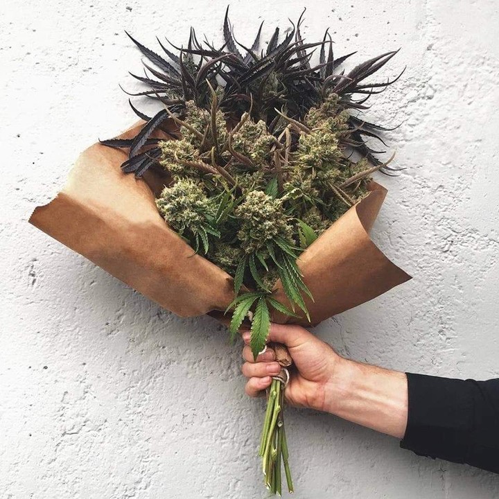 420
