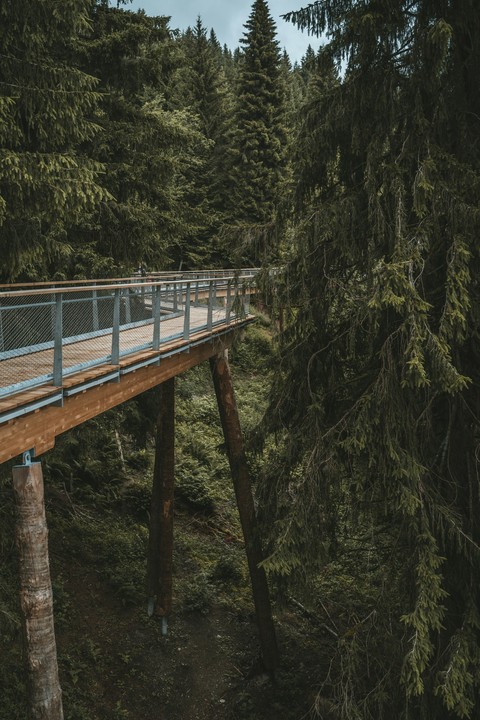 тапети handrail, forest