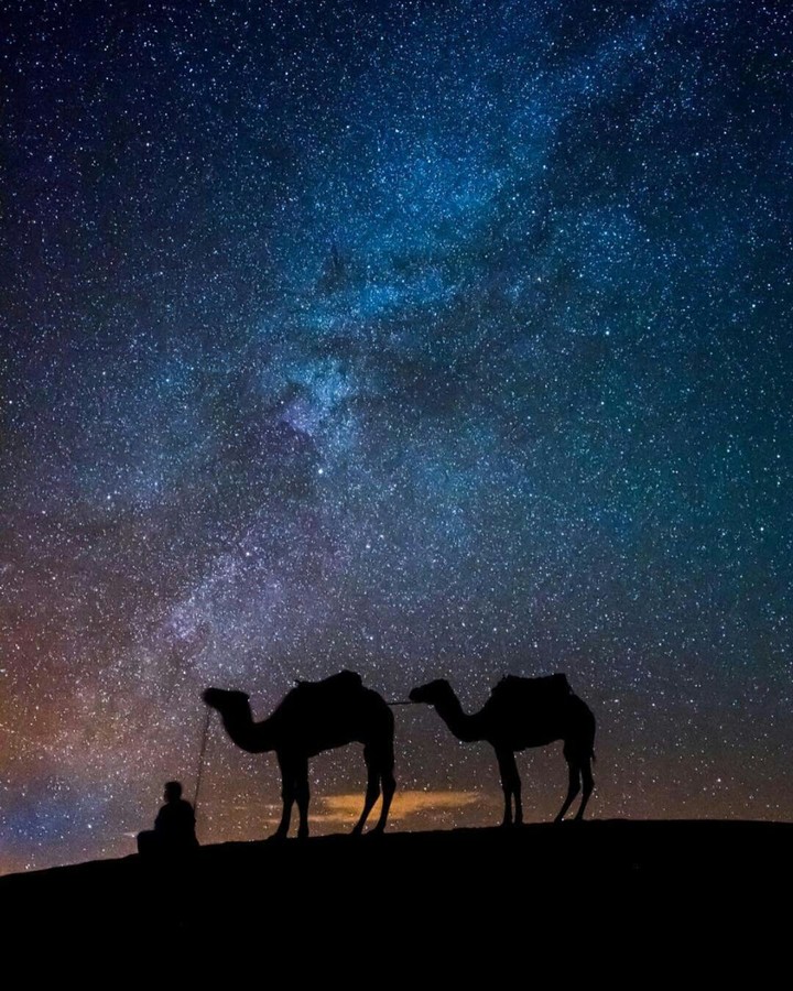 sahara desert