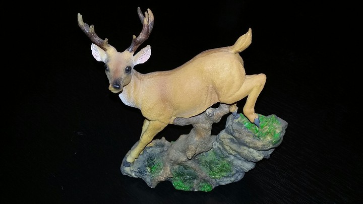 deer