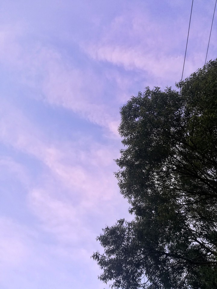 violet sky