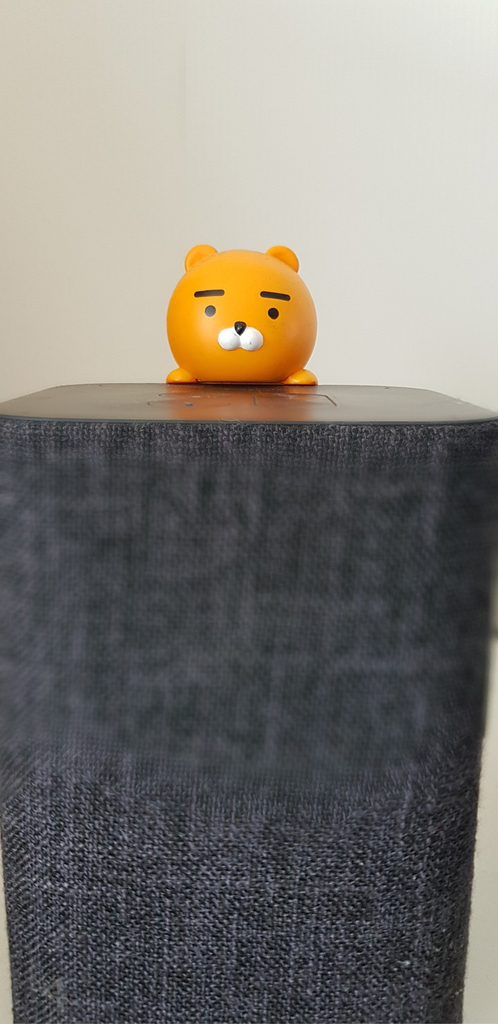 speaker