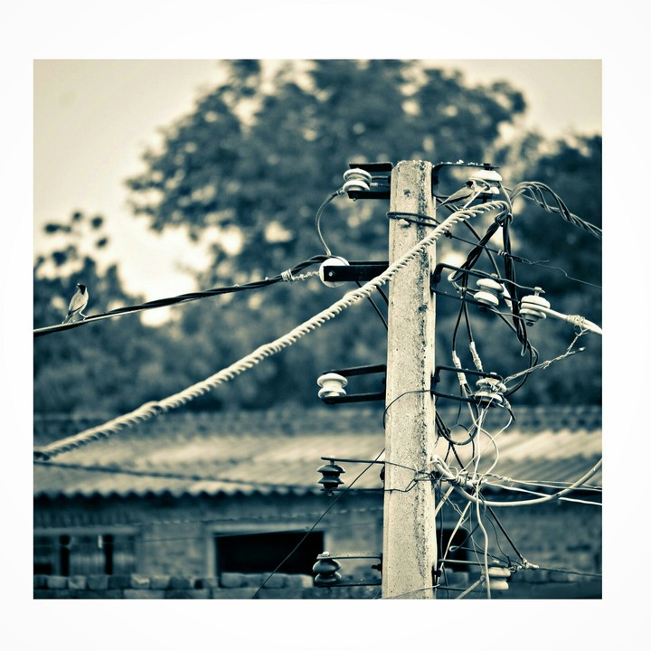 alone