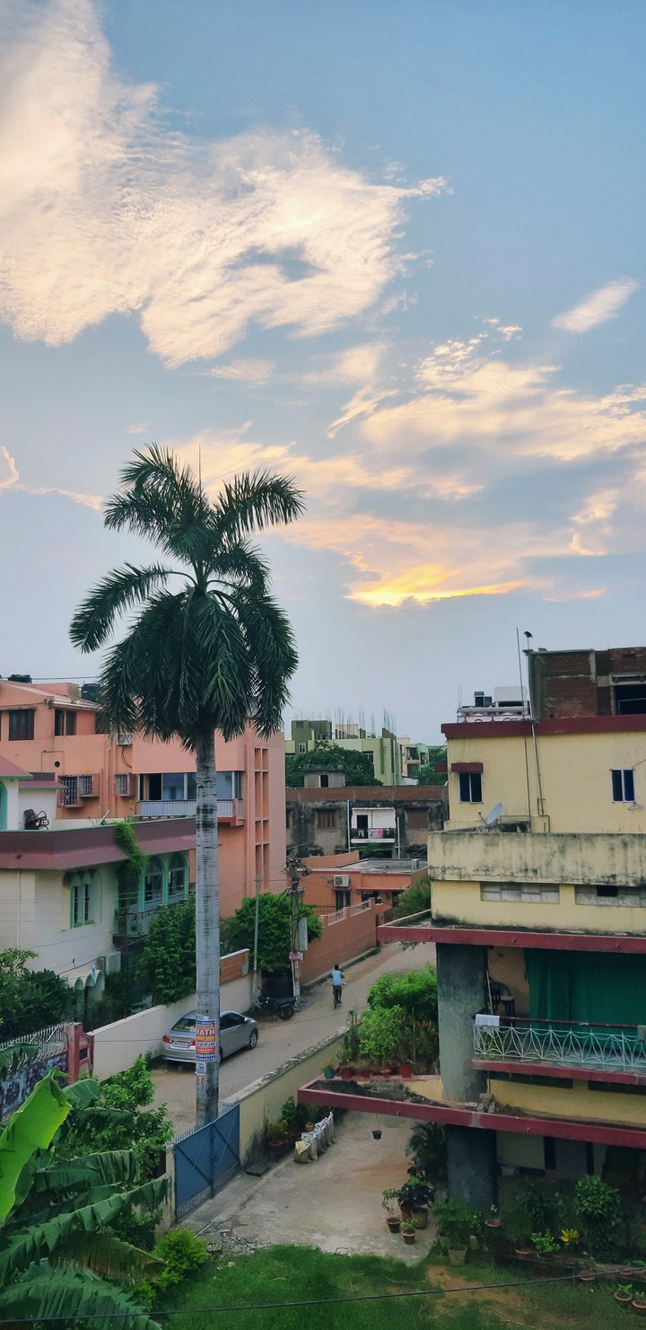 Evening