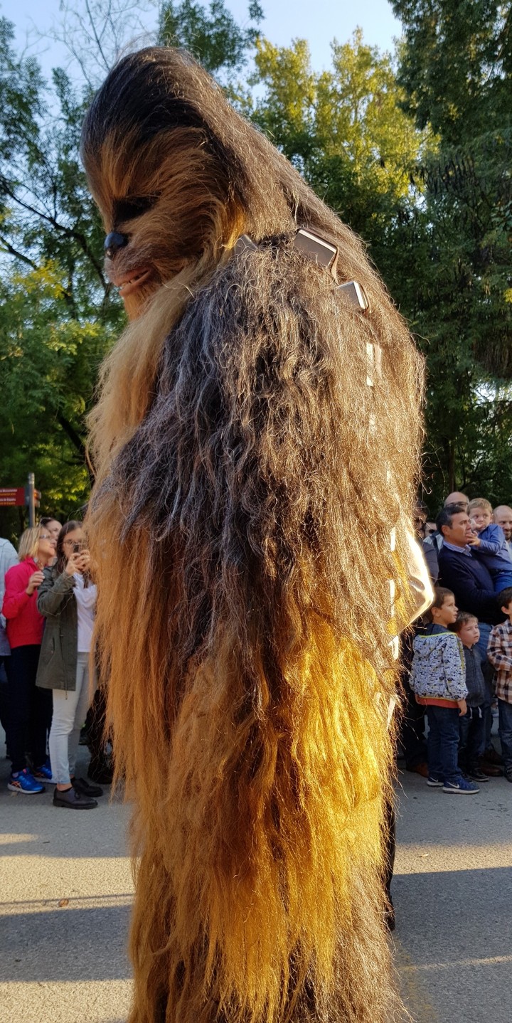 Chewbacca