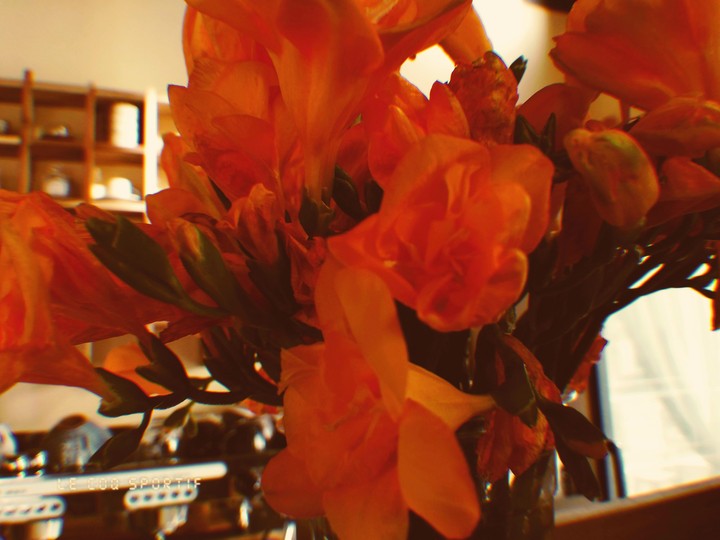 flower