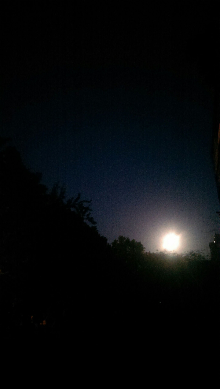 Night