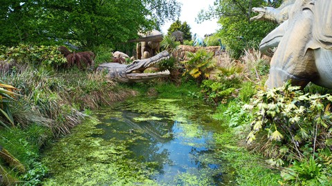 crocodile