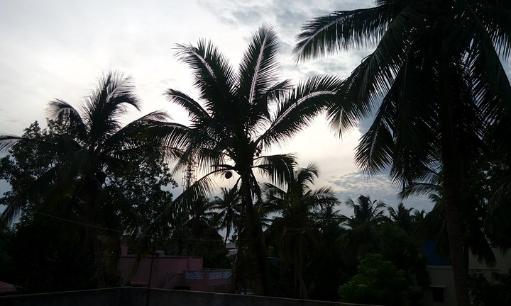 Nature