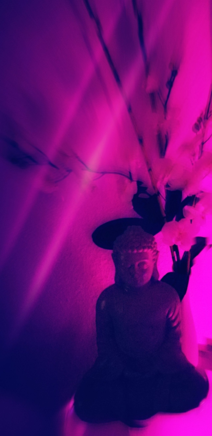 Pink Buddha